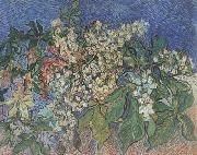 Blossoming Chestnut Branches (nn04)